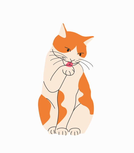 AmanHabtom's tweet photo. 猫が蝶見てる🦋🐶 https://t.co/Hire7dY1HI