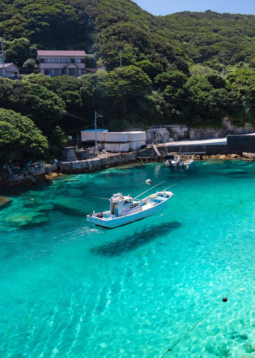 asagi_photo0921's tweet photo. ずっと夏の夢に浸っていたい。 https://t.co/6C99A8wj5j