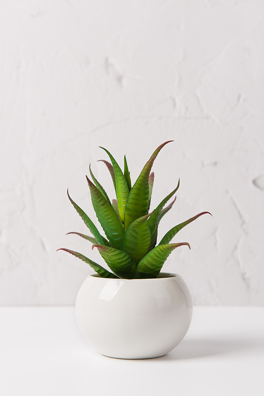 DyBello23's tweet photo. A clutter-free desk = a clear mind. Swap random papers for a small potted succulent and a dedicated notebook—focus mode activated ， https://t.co/sRta7t5qIp