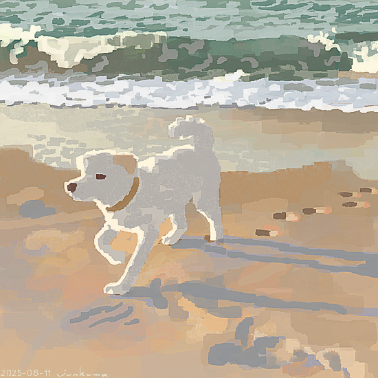 J_KMOR's tweet photo. 砂浜🐾 https://t.co/uPW588Rzmp