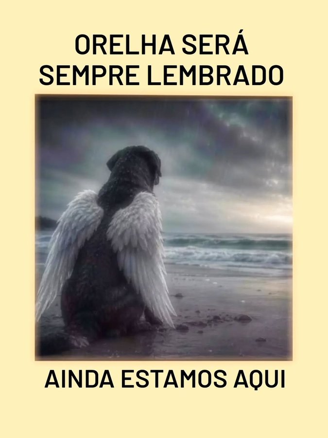 DeCastilhosM's tweet photo. https://t.co/w9DpRlujmY