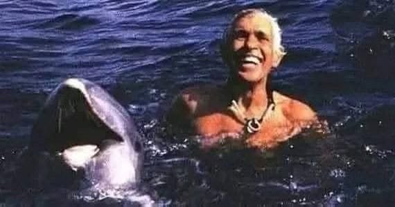 Titithebest4's tweet photo. Le plongeur italien Enzo Mallorca, alors qu'il plongeait dans la mer de Syracuse, a senti quelque chose le frapper dans le dos. Il se retourna et vit un dauphin.  Il a compris que le dauphin ne voulait pas jouer, mais exprimer quelque chose. Le dauphin plongea et Enzo le suivit. A 12 mètres de profondeur, un autre dauphin a été retrouvé coincé dans un filet. Après que lui et sa femme aient réussi à libérer le dauphin , les dauphins, lorsqu'ils sont sortis, ont poussé un cri presque humain (c'est ainsi que Mallorca l'a décrit). Les dauphins peuvent rester sous l’eau jusqu’à 10 minutes, puis se noyer. Le dauphin captif était une femelle qui était sur le point d'accoucher. Le mâle l'entoura et se plaça devant Enzo, lui touchant la joue (comme un baiser), un geste de gratitude. Enzo a terminé son discours par ces mots :
 « Tant que l'homme n'aura pas appris à respecter le monde animal et à communiquer avec lui, il ne pourra jamais connaître son véritable rôle sur terre ».