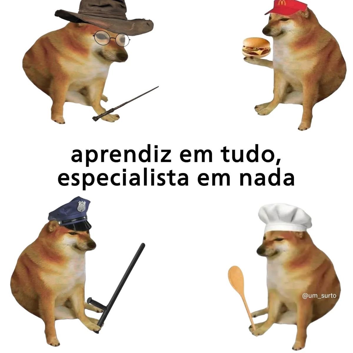 shitpostverdade's tweet photo. https://t.co/xdAWgULBRi