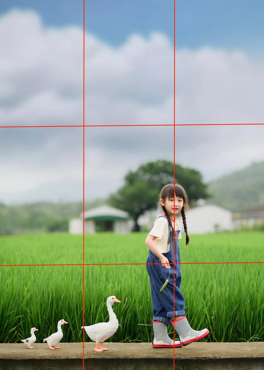 MarcusKalloch's tweet photo. New to photography Start with the rule of thirds! It splits your frame into 9 parts – place your subject at intersections for balanced, eye-catching shots. No fancy gear needed, just your phone!， https://t.co/t5MMQF3Mge