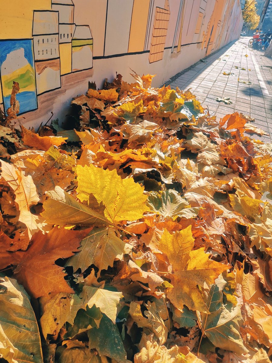 enzo_almaida's tweet photo. This weekend, our Photography Club will host a street photo walk in the city center! Join us to capture autumn vibes, share shooting tips, and make new friends. Sign up via our link by Friday! https://t.co/oHF7wfLB8q