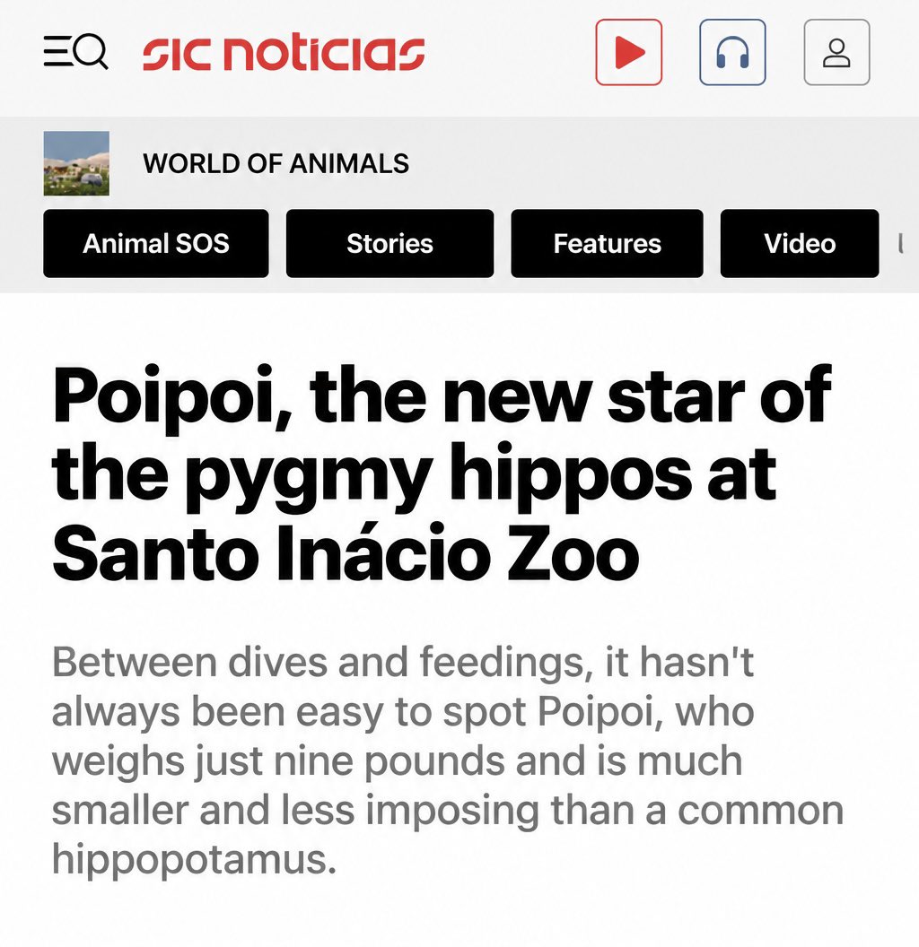 Poipoihippo's tweet photo. Gm Poipoi fam 🦛

Our little hippo just got featured on national news! https://t.co/3wMpnWr4gT