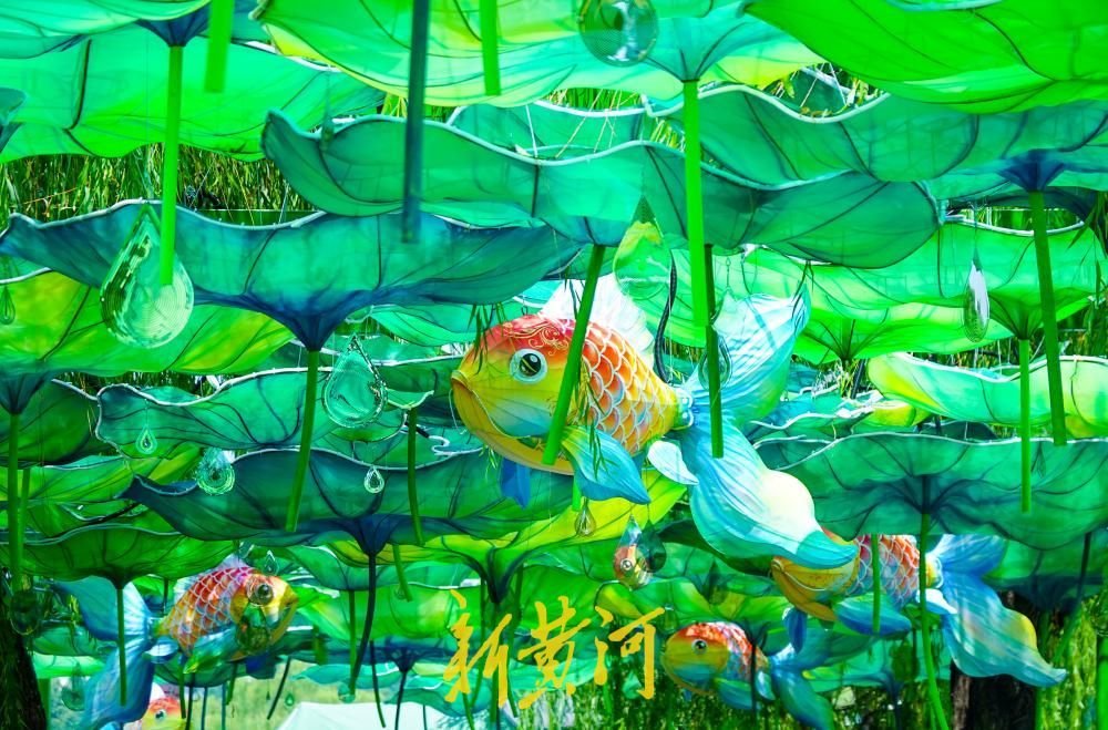 AmyZhan39778687's tweet photo. The refreshed South‑Gate Wharf at Daming Lake features a lotus‑themed corridor bringing cool shade for visitors. https://t.co/h1cuX1aDKr