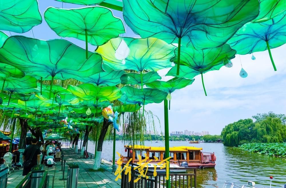 AmyZhan39778687's tweet photo. The refreshed South‑Gate Wharf at Daming Lake features a lotus‑themed corridor bringing cool shade for visitors. https://t.co/h1cuX1aDKr