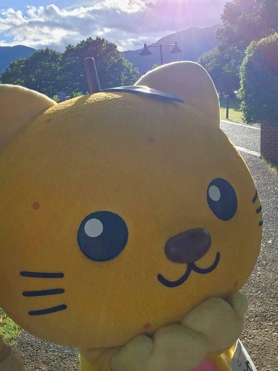 お盆休みが明けて、今日からお仕事の人が多いかにゃ😸❣️ 学校のお
