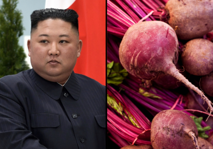 Templarpilled's tweet photo. North Korea has become the first formerly Japanese-colonized nation on the Korean Peninsula to exceed sugar beet harvest expectations.

A nation with immense potential. https://t.co/ClG13LmkMB