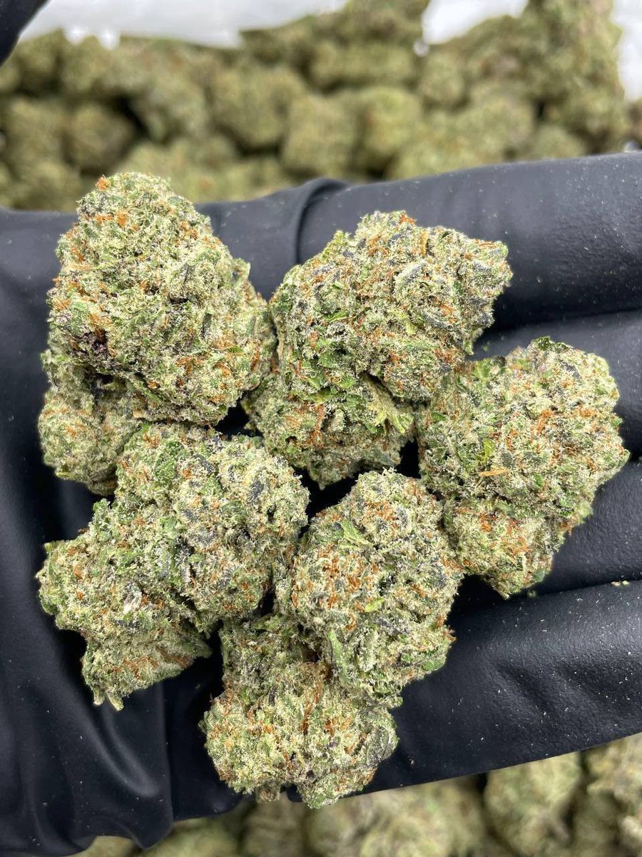 ireland_plug1's tweet photo. Weed Limerick City, Castletroy, Dooradoyle, Raheen, Corbally, Annacotty, Meelick, Parteen, Ardnacrusha, Cratloe, Sixmilebridge, Shannon, Newmarket-on-Fergus, Ennis, Clarecastle, Quin, Tulla, Scariff, Killaloe, Ballina, Killimer, Kilrush, Kilkee, Doonbeg, Lahinch, Liscannor. https://t.co/EQL0mDiyjo