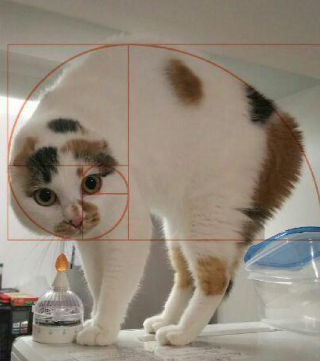 gatinarios's tweet photo. https://t.co/Qdn2WFUiSK