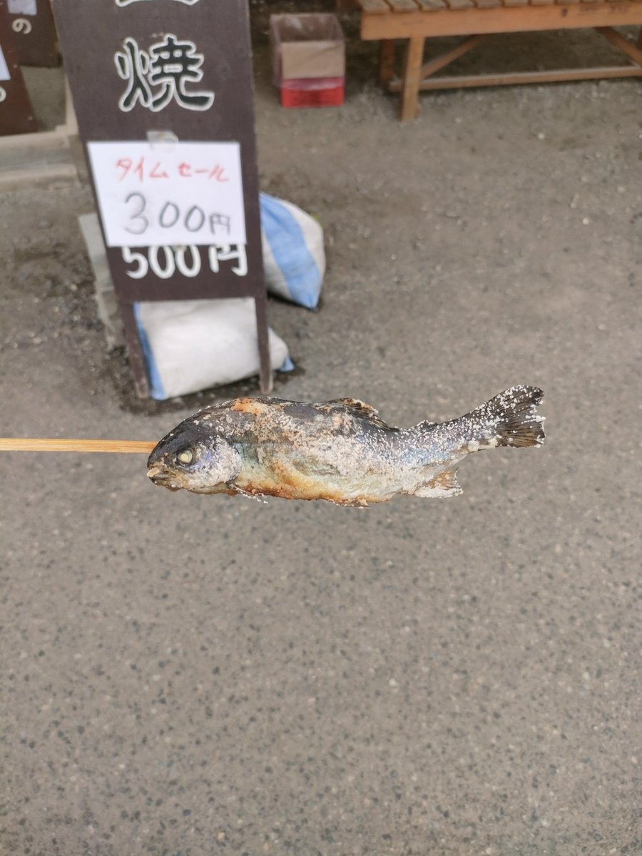 gunma_hello's tweet photo. たくみの里「いちごの家」が、道の駅みなかみ水紀行館で出張販売してたので、雪いちごを食べました。
凍らせて、かき氷状に削られたいちごは、甘さが少なく、かなり酸っぱいので、練乳はたっぷりかけたほうが美味しいです。
15時半すぎに行ったので、タイムセールになってたマスの塩焼きも食べました。
ぷっくらとした身の美味しいマスでしたが、塩がきつめで、しょっぱかったです。
お盆休みは終わった平日なのに、そこそこ混んでました。今月の直売所は18時まで延長営業らしいですよ。
お土産を買い損ねたら寄ってみる？