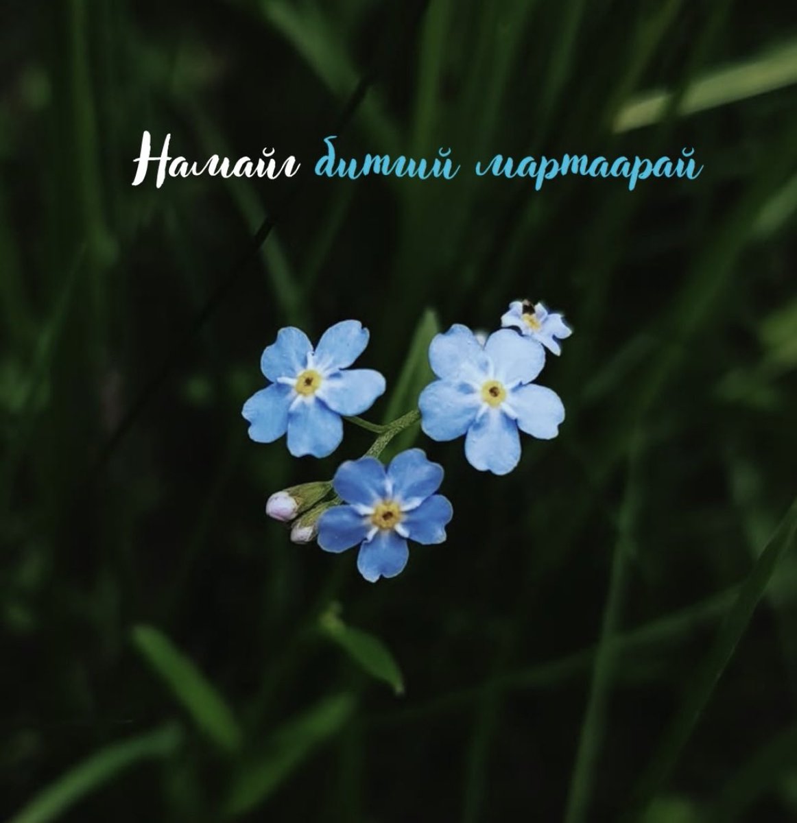 delgerekh0225's tweet photo. Зүс, нэрийг нь мартав хө✌️😅 https://t.co/DKFwp1NyTP