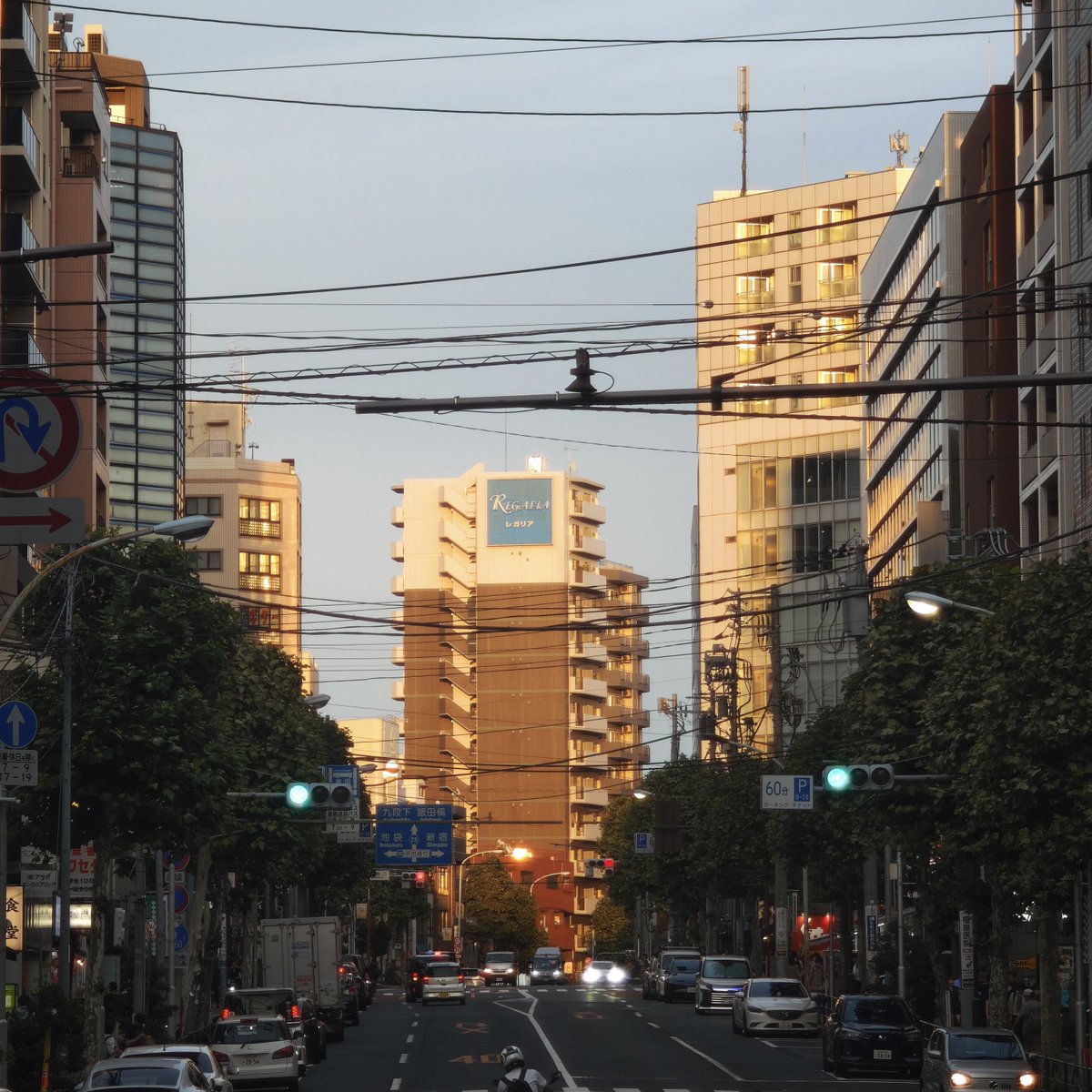 akatsuki_eleven's tweet photo. 夕阳🌇
那些逝去的岁月里
有太多遗憾
是出现在现在的自己眼前
碰一下
就会溃散的
就像夏日晚风里吹来的回忆
总会在路边的汽笛的一声鸣叫里
碎落一地 https://t.co/2SYxOHhFnL