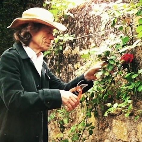 historyrock_'s tweet photo. Did you know that Mick Jagger is a big fan of gardening? https://t.co/8rJ7LXFoDM