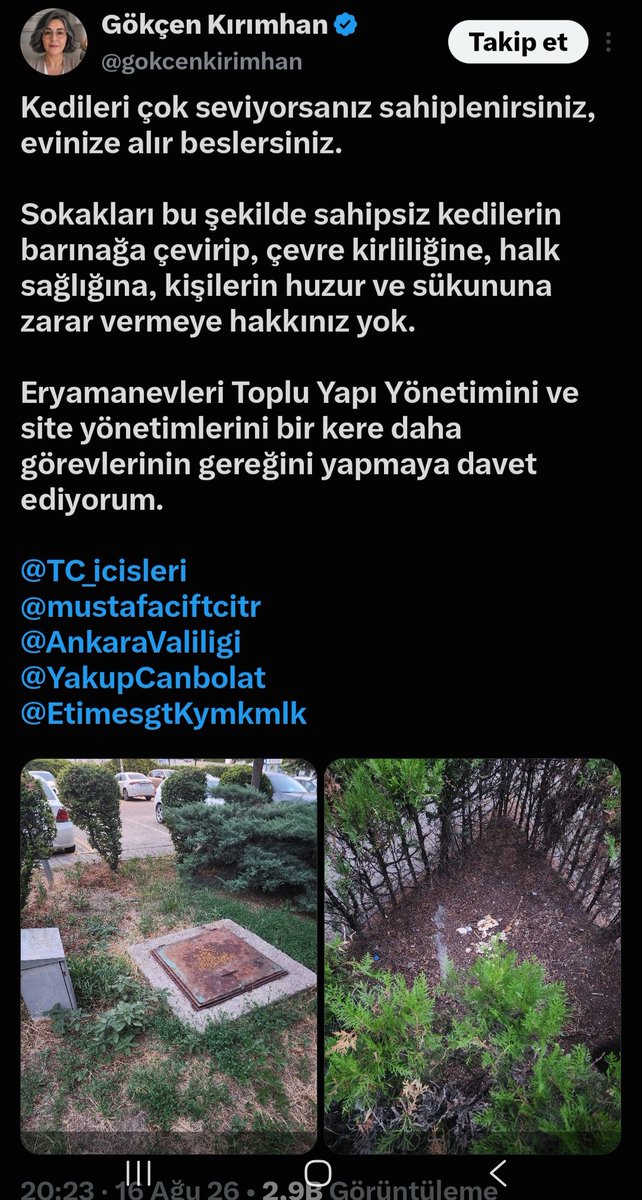 thisishakan_'s tweet photo. Yapay zeka profilli hayvan düşmanlığı yapan tahrik edip dava ile tehdit eden güsoder trollü bu hesabı ciddiye alıp polemiğe girmeyin bildir engelle alıntı yapma dolaşıma sokma !
#SokakHayvanlarıSahipsizDeğil https://t.co/HzkW75an11