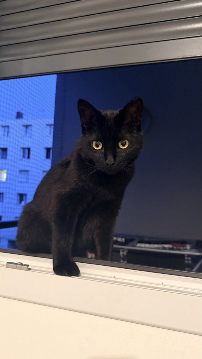 _Claw07's tweet photo. Mon petit démon ❤️ https://t.co/mvDKOYstUF