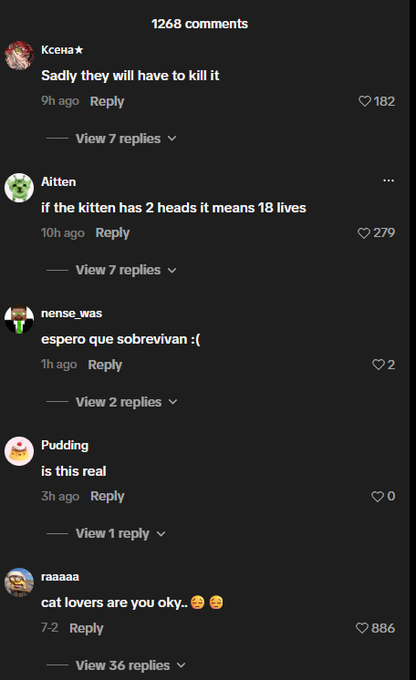 GassySol's tweet photo. Holy shit… this cat was born with TWO HEADS. 🤯
The video just started circulating on TikTok and it’s already going viral!
People are in complete shock, and the comments don’t know what to think…
This is insane!
https://t.co/0gspLbMLv8 https://t.co/DnHlbbBZBE