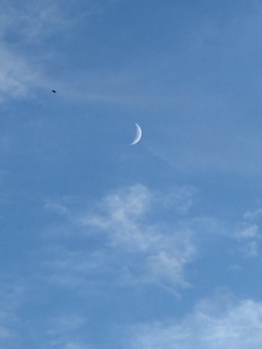 i_yp's tweet photo. 今空
見つけた https://t.co/5uBvQ3OiHI