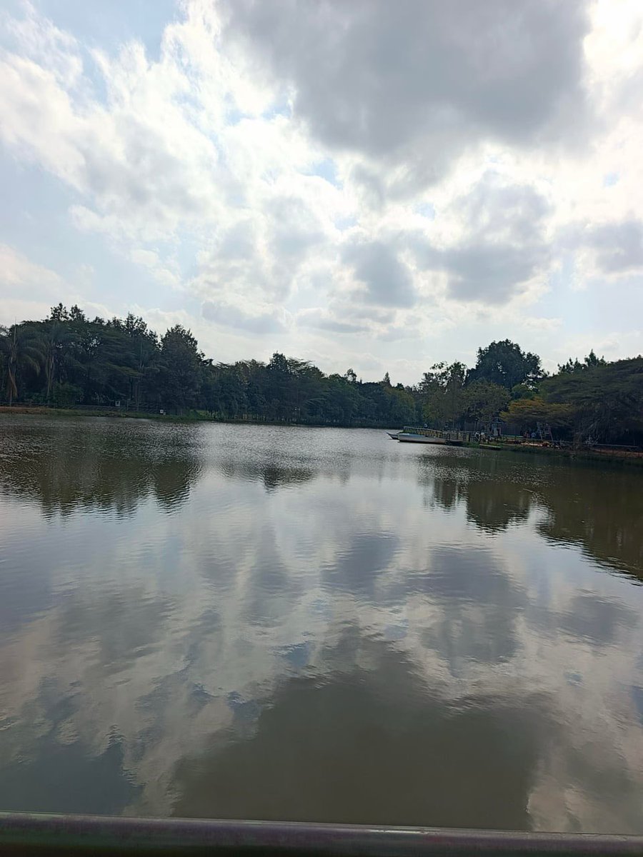 Dr_AustinOmondi's tweet photo. Mamba Village, Nairobi. 

#MagicalKe https://t.co/gvEXCZrYyL