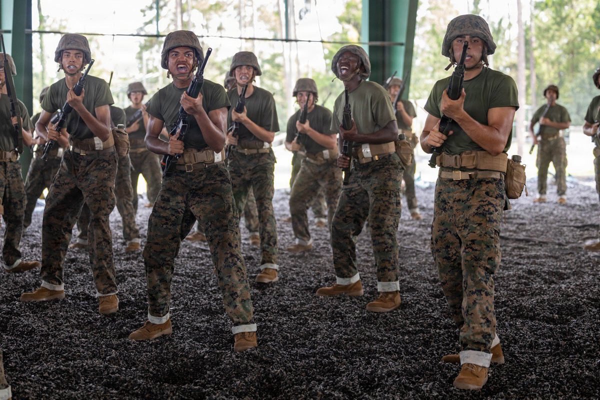 HermanCsalley's tweet photo. #MarineCorps recruits with November Company, 3rd Recruit Training Battalion, practice Marine Corps Martial Arts Program techniques on @MCRDPI, S.C
Throughout recruit training, recruits must master basic assault and defense techniques to earn their tan belt through MCMAP.
#Marine https://t.co/jNc1DO5Q3u