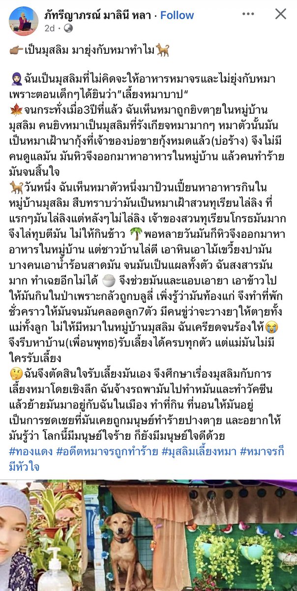 kalaland13's tweet photo. อันนี่ไม่แขวน แต่อยากขอชื่นชมเลย 👏🏻👏🏻  คือไม่ว่าศาสนาไหนก็ไม่มีสอนให้ทำร้ายสัตว์มั้ย อ่านย่อหน้าแรกแล้วหดหู่มาก ดีใจที่สุดท้ายเค้ารับเลี้ยงน้องเลย แล้วในเฟสเหมือนเค้าช่วยหมาหลายตัวมากๆ😭 
 คือเท่าที่เคยคุยกับเพื่อนมุสที่เลี้ยงหมารักหมามากมา เดี๋ยวนี้มันก็มีสบู่น้ำดินล้างนญิสจากหมาไว้ให้ล้างมือขายอะ เต็ม shopee ไปหมดเลยอะ อย่างตุรกีนี่ก็เลี้ยงหมาให้พรึ่บไปหมด