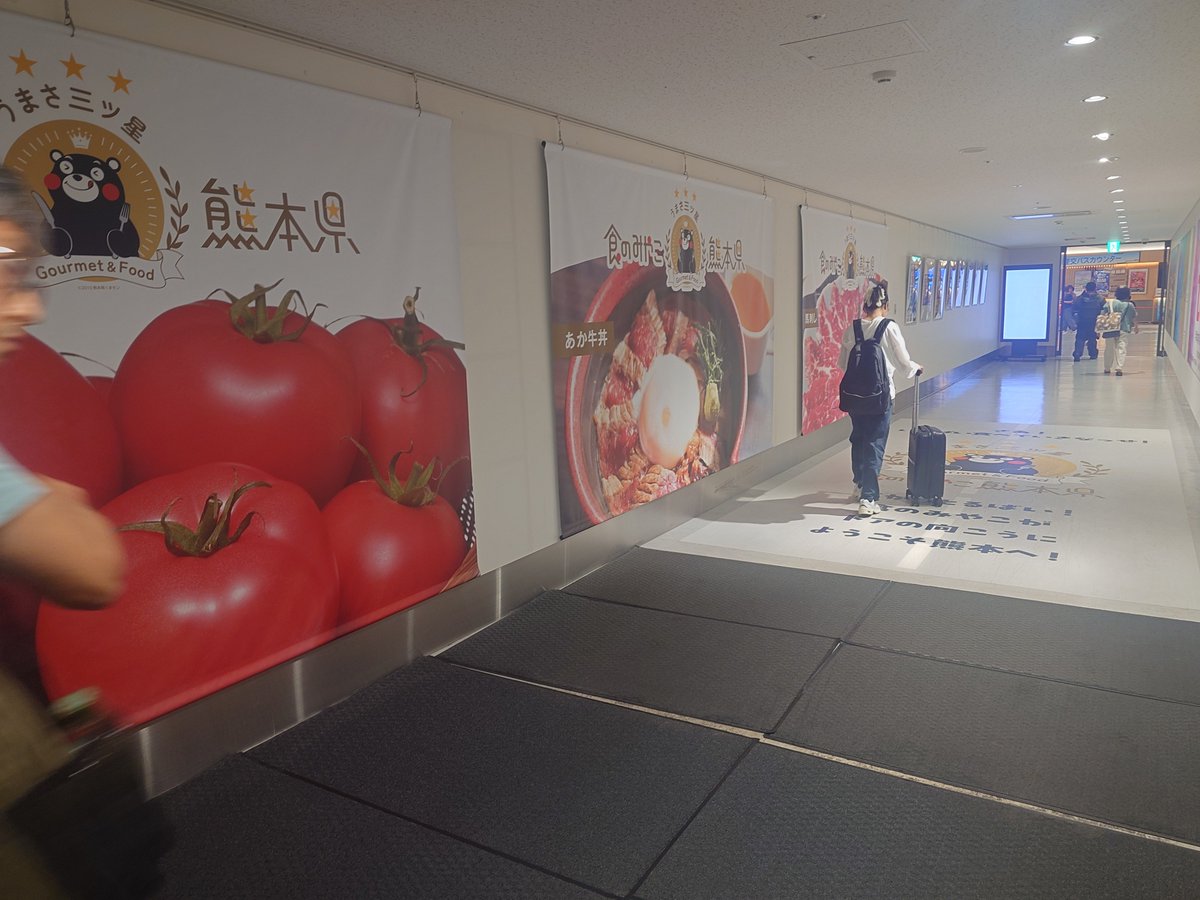 Crazy_Pudding_1's tweet photo. いつか見た空港着いてくまモンを見たら死ぬゲーム詰みすぎる https://t.co/W2XAZXK2BA