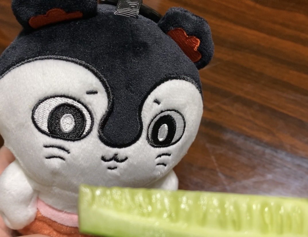 hato_heiwajima's tweet photo. キュウリ食べようね🥒 https://t.co/LZd73NJoQ1