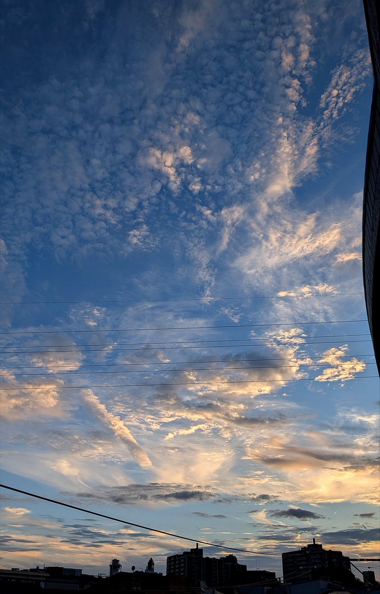 kazz10m2's tweet photo. #イマソラ #夕暮れ
今日一日、お疲れ様でした。 https://t.co/lCaPKBdyMr