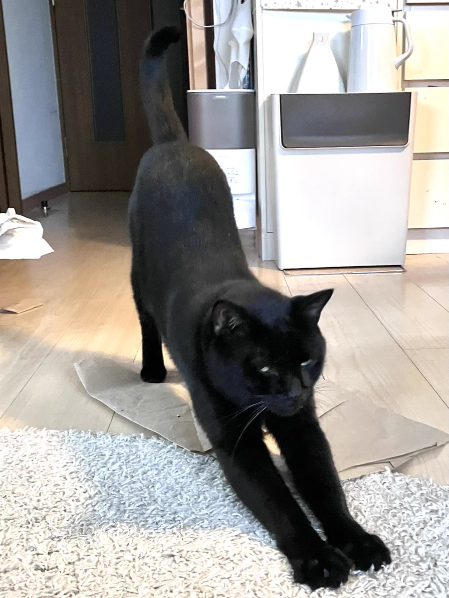 しおやてるこ på X: 