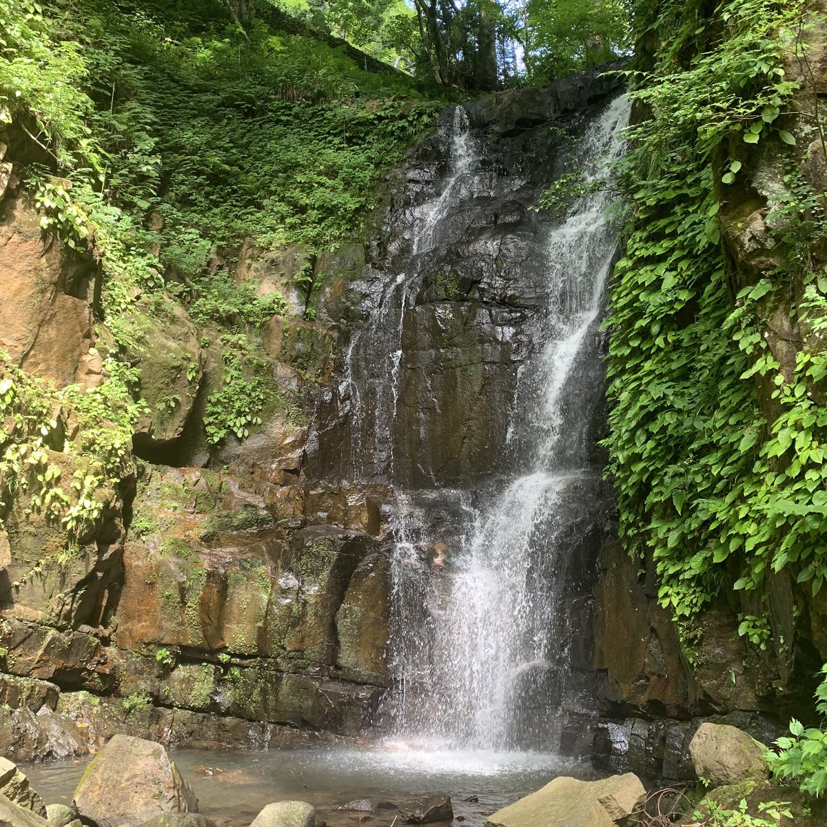 echizen_history's tweet photo. 勝山市北谷町谷にある不動滝。今までの中で1番水が少ない。おかげで向かう道は歩きやすく滑らない🎶伊良神社前には中村の清水に綺麗なお花がー、めちゃくちゃいいねー。でも、気温は35度予想💦早めに車に戻ろう🚗
#不動滝 #勝山市 #滝巡り #不動明王 https://t.co/RzLfwONUff