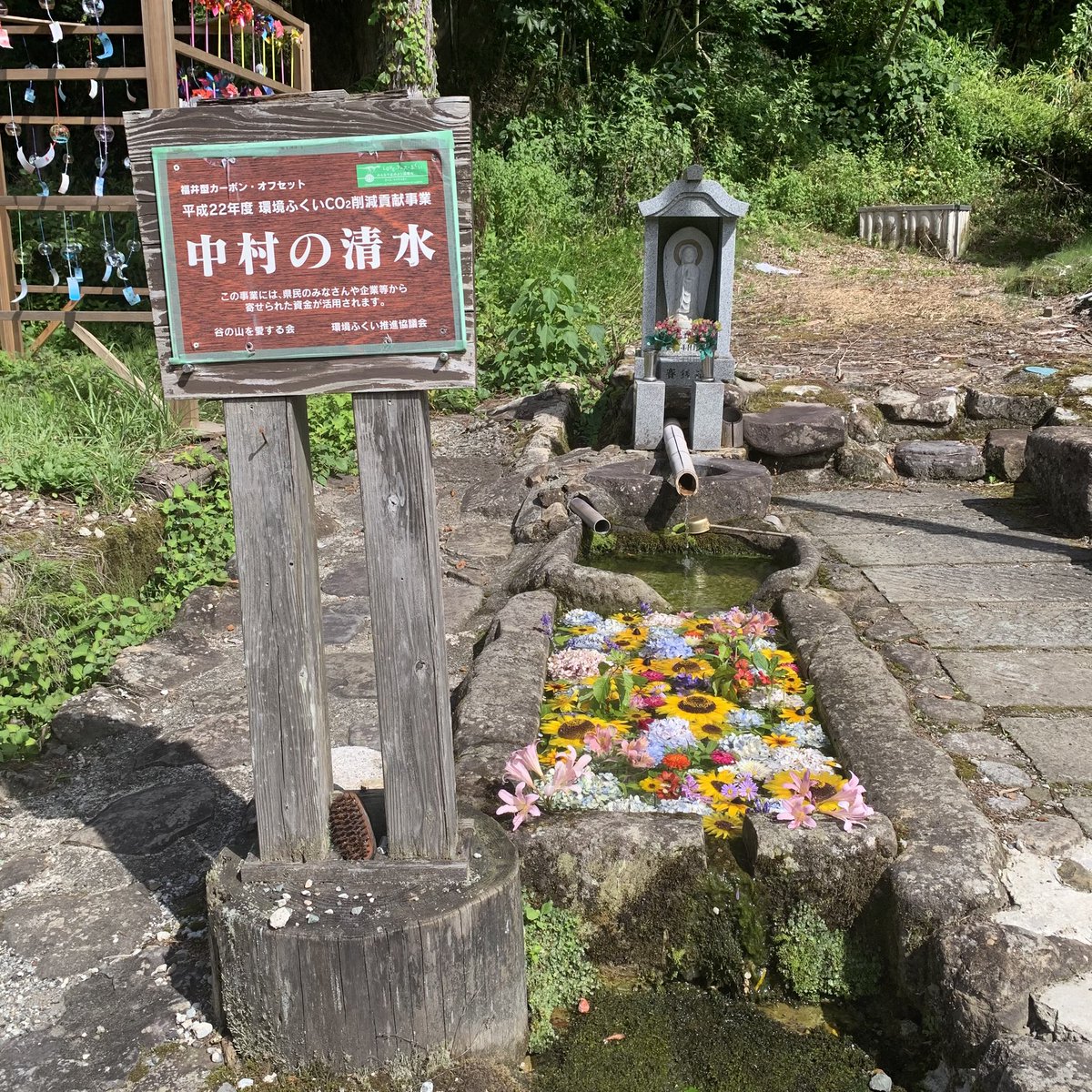 echizen_history's tweet photo. 勝山市北谷町谷にある不動滝。今までの中で1番水が少ない。おかげで向かう道は歩きやすく滑らない🎶伊良神社前には中村の清水に綺麗なお花がー、めちゃくちゃいいねー。でも、気温は35度予想💦早めに車に戻ろう🚗
#不動滝 #勝山市 #滝巡り #不動明王 https://t.co/RzLfwONUff