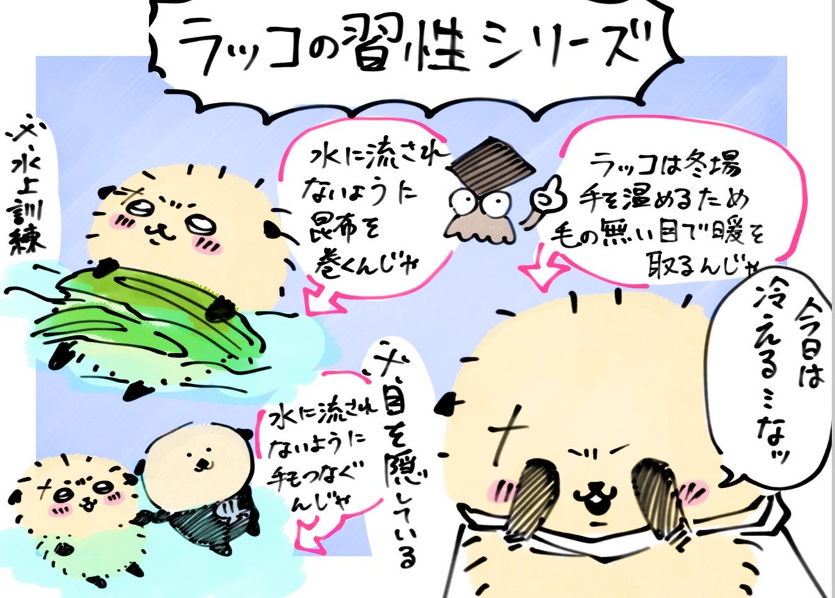 Maybe00831's tweet photo. ラッコは可愛いんじゃ🦦⸒⸒
#ちいかわファンアート https://t.co/Gw59Foxjlu
