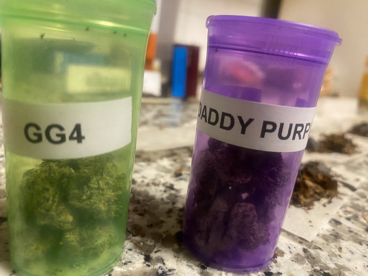 SuperCleanRec's tweet photo. #GG4 #GrandDaddyPurple #Cannabis #KuSHite #SnowfallFx https://t.co/sn8nRmGbPn #TheSource #Complex #XxLMagazine #BBCRadio #Noisey #SpinMagazine #Pitchfork https://t.co/UU0EYlf8PQ