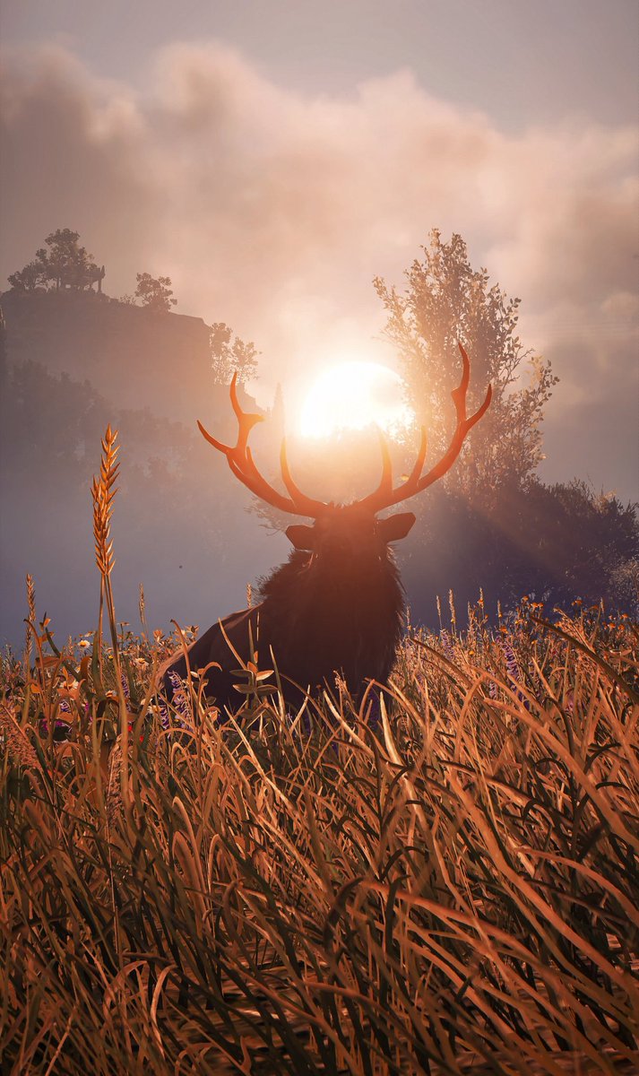Lucascosta797's tweet photo. Assassins Creed Odyssey 

#VGPUnite #alexios #greece 
#photomode #WIGVP #PlayStation5  #ACfinest #alexios #assassinscreedvalhala #TOWCBWeeklyCapture 
#ACFirstCivVP #assassinscreedshadows https://t.co/1fJSLyIqzI
