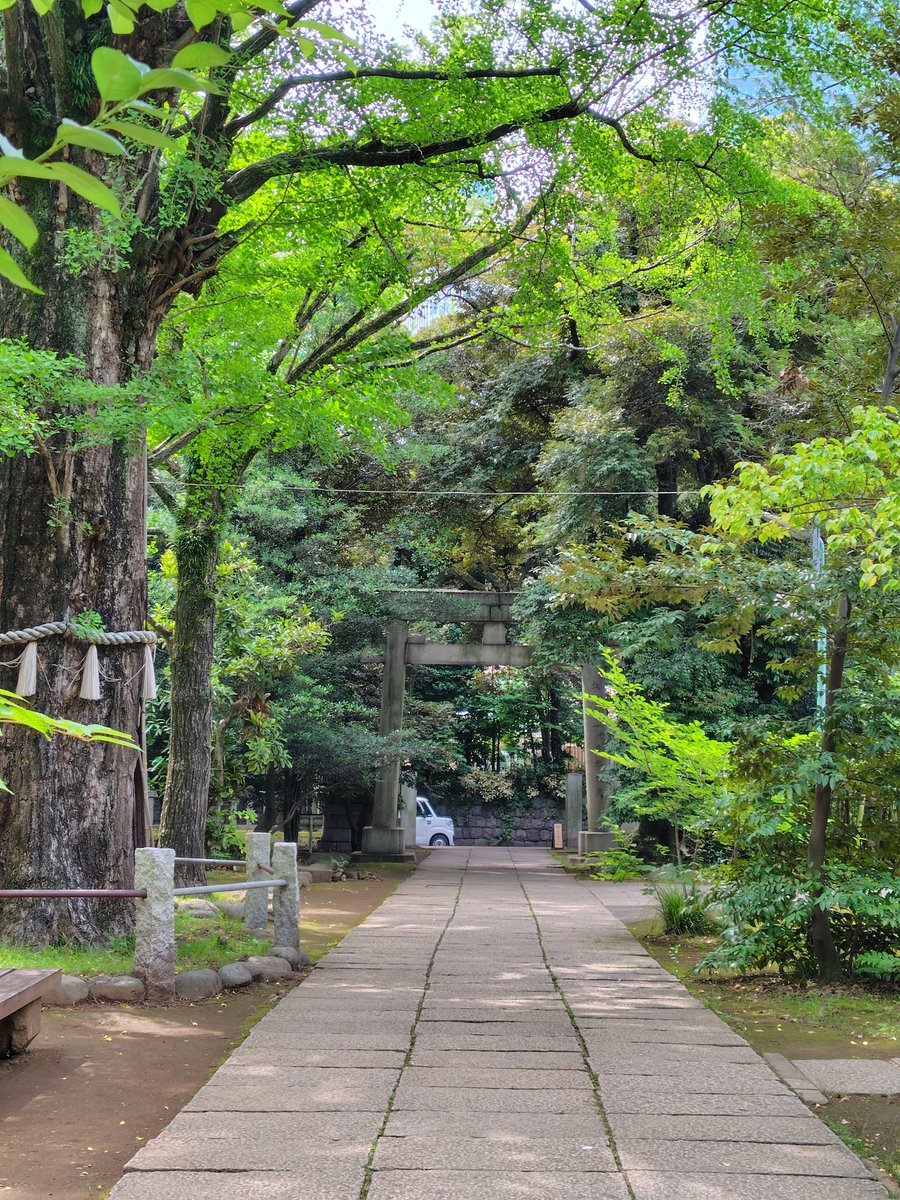 YYYYMMDD24study's tweet photo. ハム安、氷川神社寄りガチ！

VIVANTで見た！じゃなくて、
OLRで見た！（成立の聖地！）

え～っとVITANT、東条が宅配トラックから降りた神社は
OLRへのオマージュだと勝手に思ってます。 https://t.co/ZgWc0UuTvN