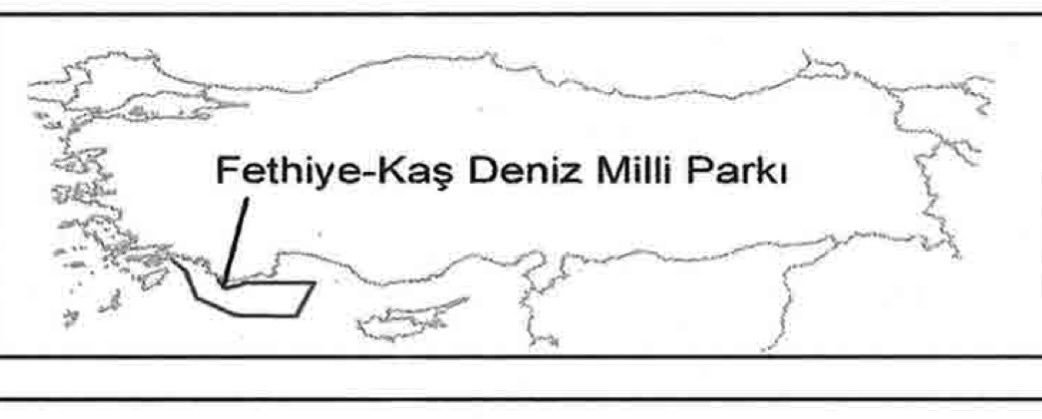 Mhmtcicek02's tweet photo. #SonDakika 📍

AKDENİZ’DE MAT HAMLESİ: ATİNA PANİKTE!

Cumhurbaşkanı Erdoğan, Meis Adası etrafını "Ulusal Deniz Parkı" ilan ederek Yunanistan’ın yıllardır sığındığı tezleri tek kalemde çöpe attı!

Yunanistan Dışişleri Bakanı adeta neye uğradığını şaşırarak panik içinde haykırdı: "Kabul edilemez!"

Atina yönetimini çaresiz bırakan bu hamle sonrası Akdeniz’de oyunun kuralları yeniden yazılıyor. Masada da sahada da patronun kim olduğu tescillendi!