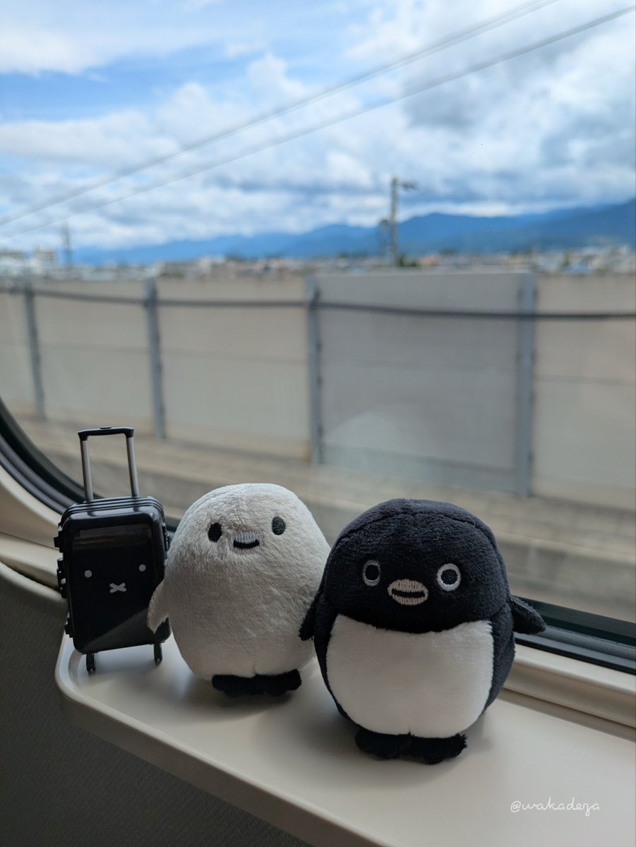 wakadeza's tweet photo. Suicaのペンギンさんと、うさぎさんも一緒に。

わちゃわちゃ🐧🐧🐰🐰 https://t.co/Hqos2bcbIJ
