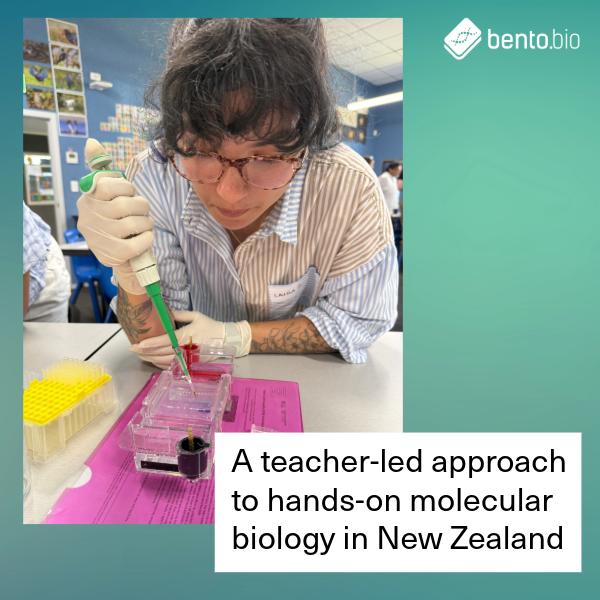 theBentoLab tweet picture