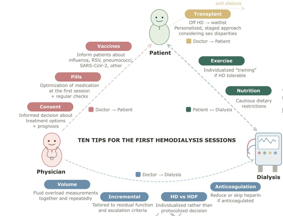 CKJsocial's tweet photo. Ten tips for the first hemodialysis sessions

https://t.co/Z2H77g2bC9 https://t.co/gbHGB3ARsy