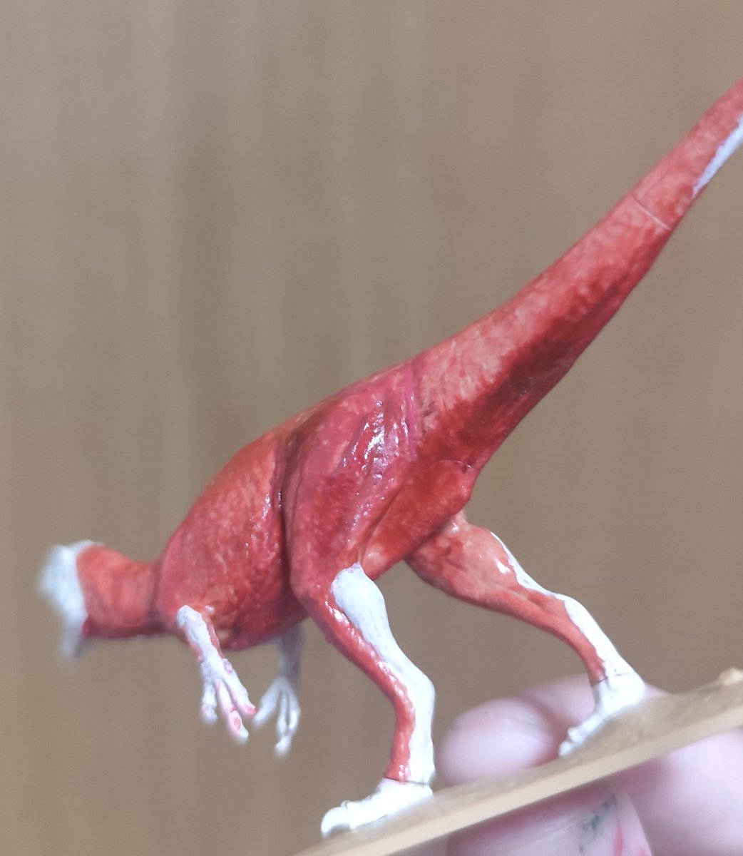 Akikan_1981's tweet photo. 部分的に骨が見えるように塗ってみた🦴
筋肉の艶とかグラデーションも本物っぽくなった気がする🦖

#恐竜 #フクイラプトル #タミヤ #TAMIYA #プラモデル https://t.co/OUpjBTTq16