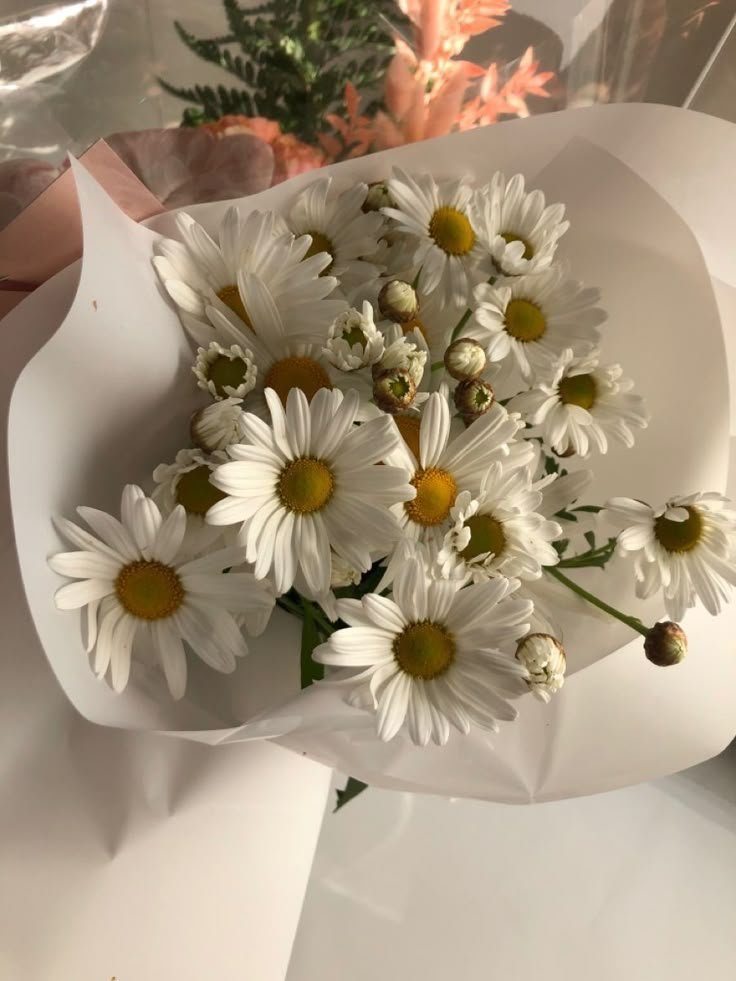 dreamyflowerrs tweet picture