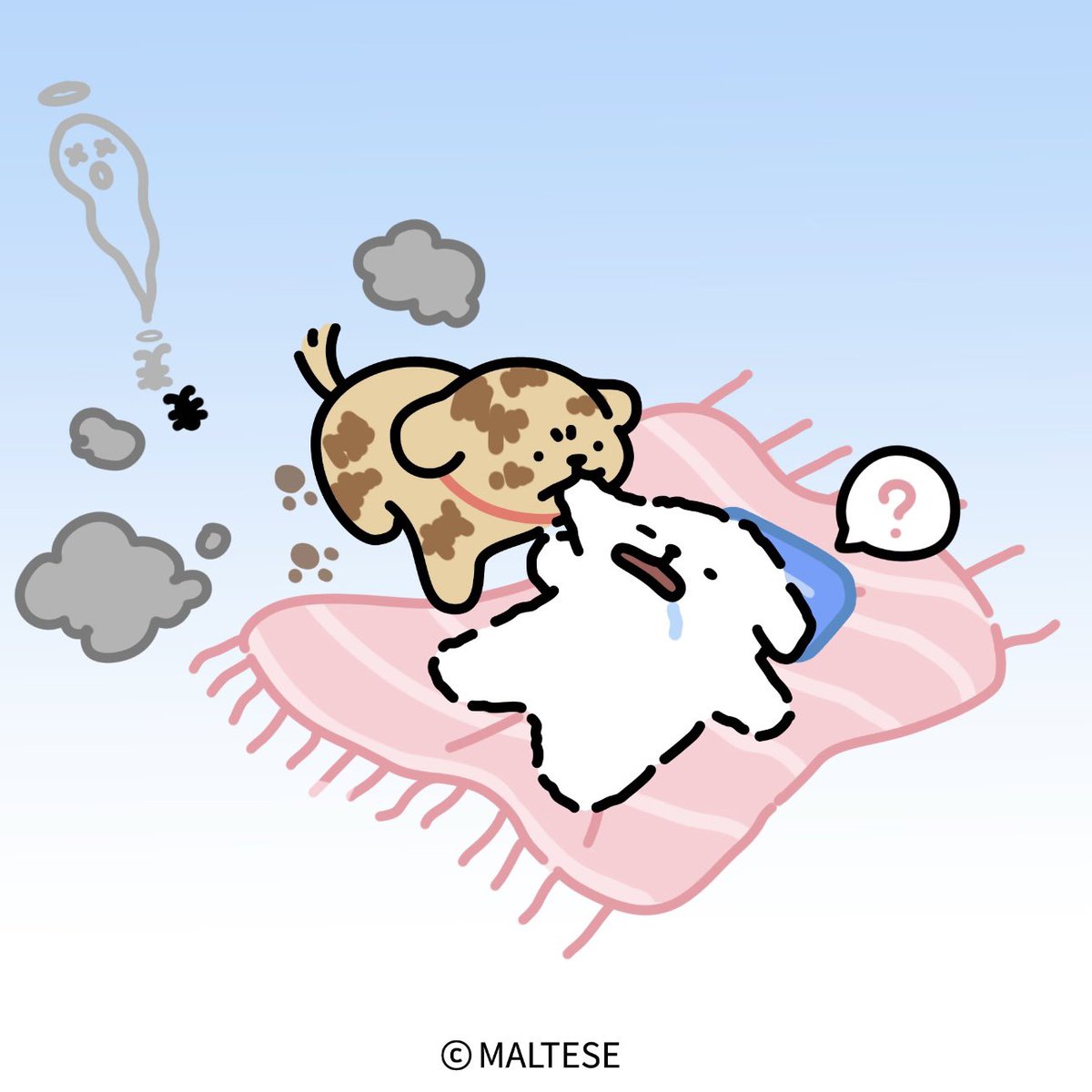 Maltese_post's tweet photo. 世界はボロボロでも子犬が縫い繕ってくれる。
でも、なぜボロボロなのかは聞かないでね。

モルチーズ
몰티즈 &amp; 리트리버
线条小狗
線條小狗 https://t.co/K9I8EWeZSZ