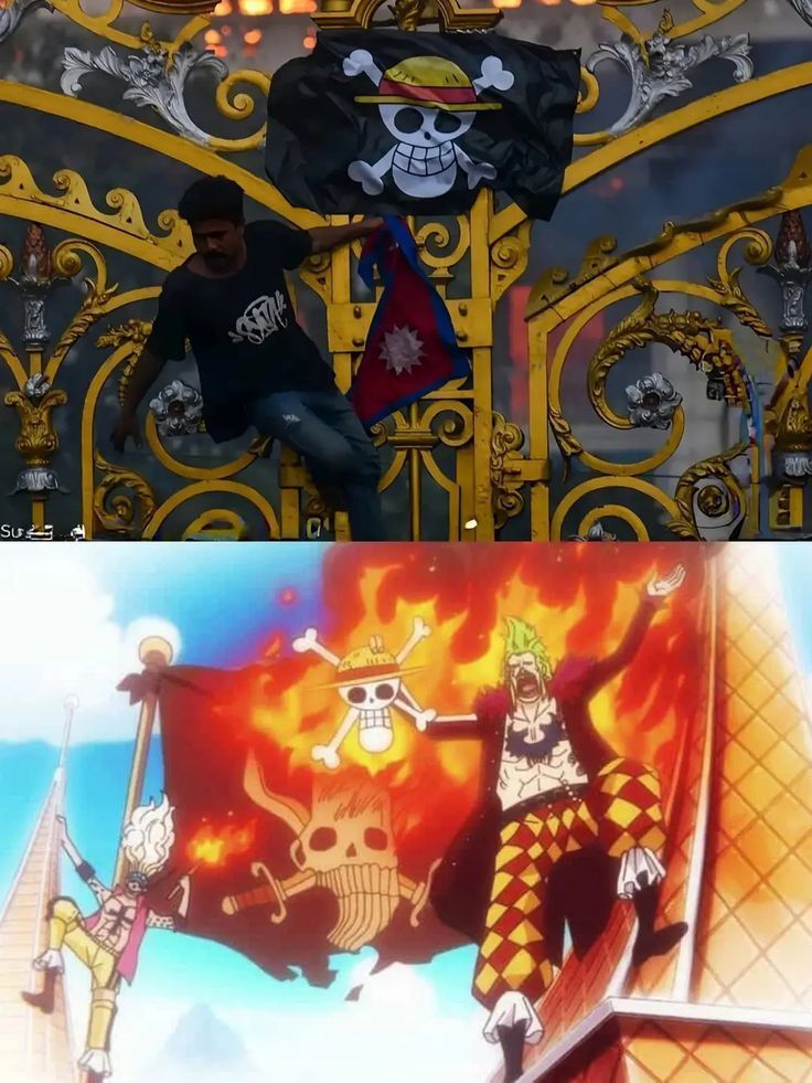 strawhats's tweet photo. https://t.co/sfjafaqFSz