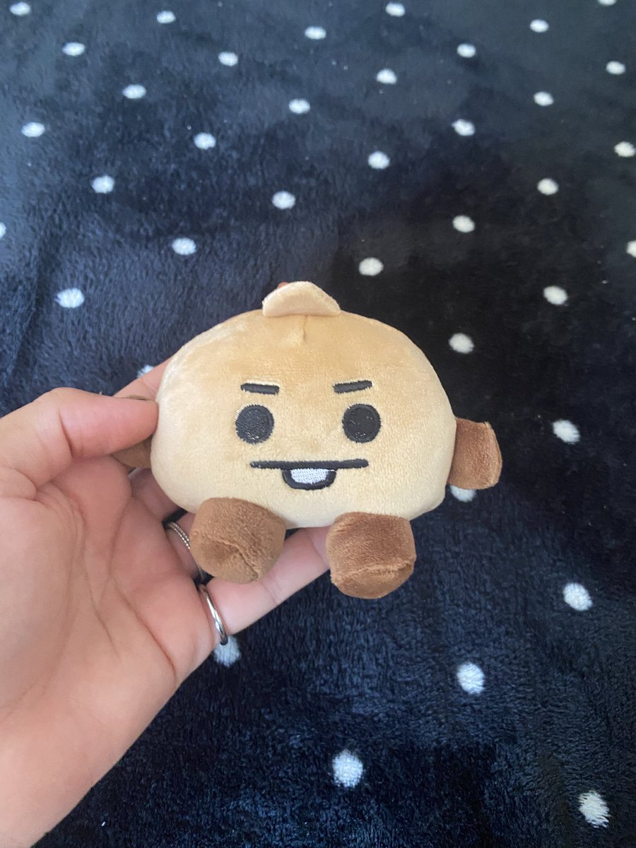 rm_meii's tweet photo. ganhei um baby shooky de presente de aniversário 😭 https://t.co/dXhxj1jGde