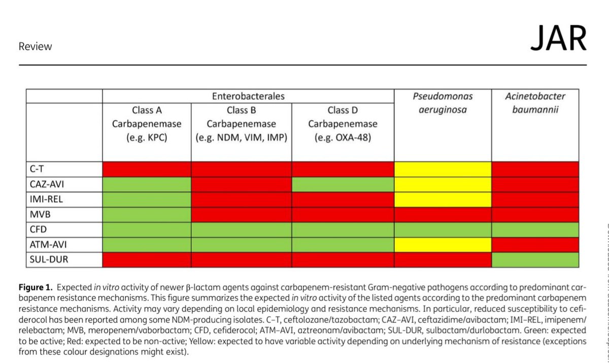 ABsteward's tweet photo. 🆕🔥🟢 Review @jac_amr
When might we consider using the newer β-lactam agents as empirical therapy against presumed carbapenem-resistant gram-negative infections? #idxposts https://t.co/4mGMKoU20W https://t.co/cqBnKxIN3H