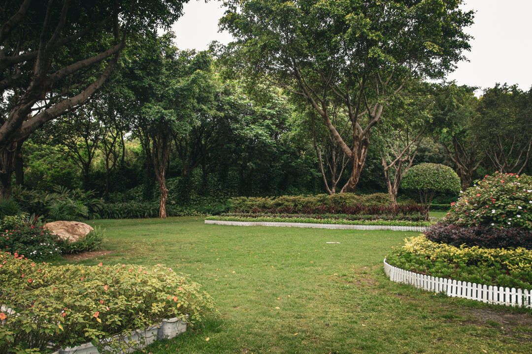 LawnscapeKC's tweet photo. Watering your yard daily for 10 minutes actually creates weak, shallow roots that burn out in summer heatwaves. Deep, infrequent watering twice a week forces roots to grow deep.

#Lawn #LawnHealth #LawnCare #lawngoals #lawnscapespecialists https://t.co/yTCD0QsJ3Q
