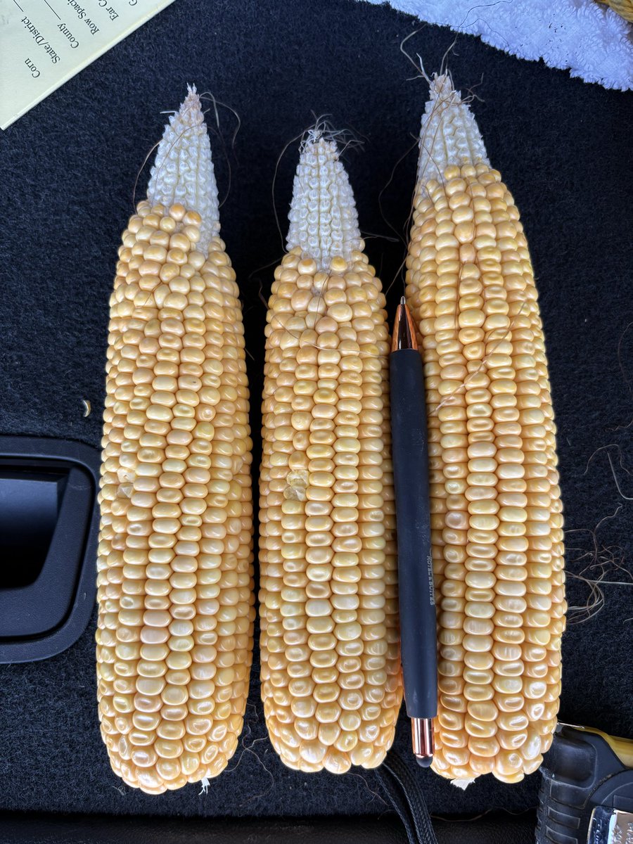 TheTedSpread's tweet photo. Starting to see this tip back more and more as we head south in northern NE. Thought we might #pftour26 https://t.co/0CGMMn3f78