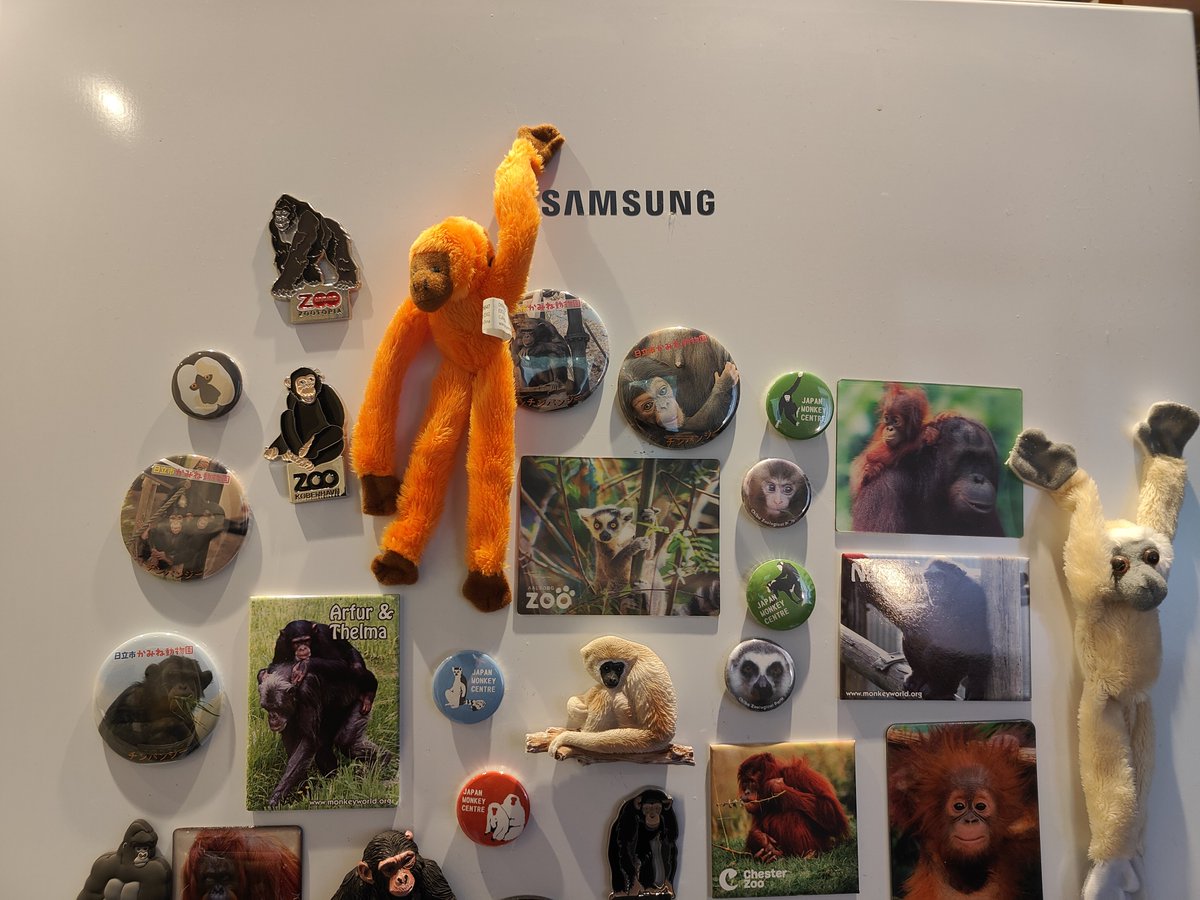 chimplyfred's tweet photo. The latest fridge upgrade. Can you tell I like primates https://t.co/qY6EJHfMve